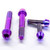 Titan Stummellenker Klemm Schrauben Set Lila Dunst