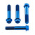 Titan Radial Sattel Befestigungs Schrauben Kit Race Spec 55mm Blau