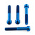 Titan Radial Bremssattel Befestigungsschrauben Kit 70mm Innensechsrund Blau