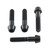 Titan Fussrastenhalter Halter Schrauben Kit Schwarz