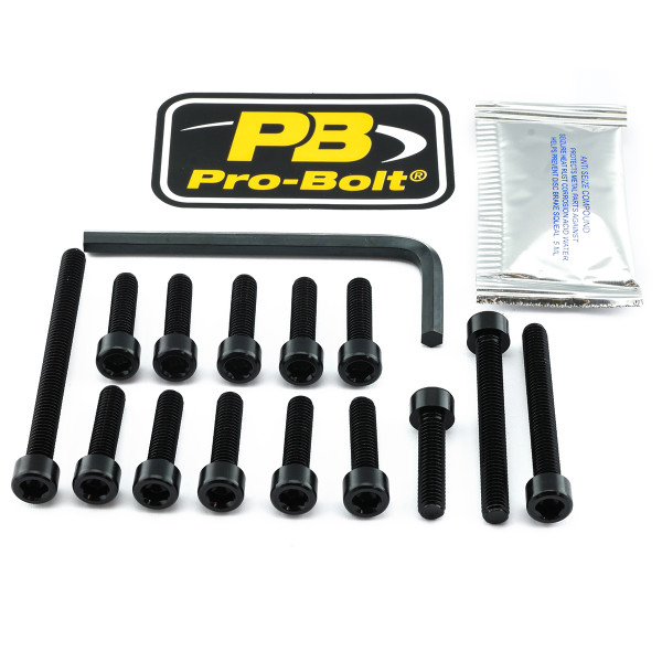 Alu Motorseitendeckelschraubenkit ZZR1400 Schwarz