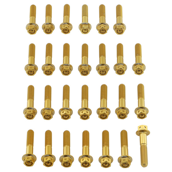 Alu Motorseitendeckelschraubenkit GSF1250 Bandit Race Spec Gold