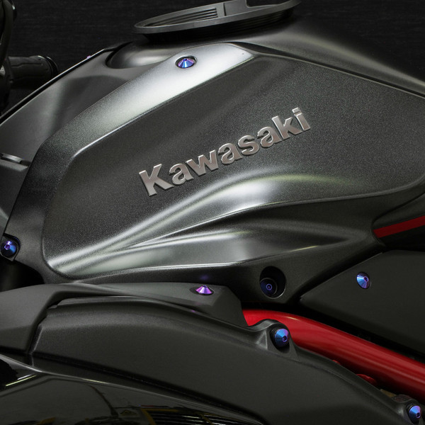 Titan Verkleidungsschraubenkit Kawasaki Ninja H2 Lila Dunst Montiert