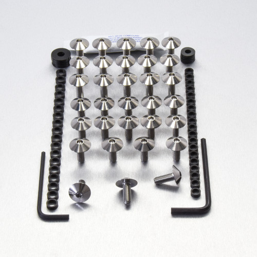 Edelstahl Verkleidungsschraubenkit Triumph TT600 Series 1
