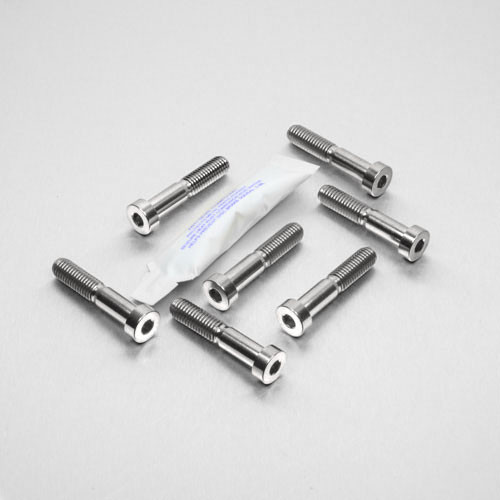 Edelstahl vordere Bremse Bremsbelaghalte Klemmschrauben Set (Brembo)