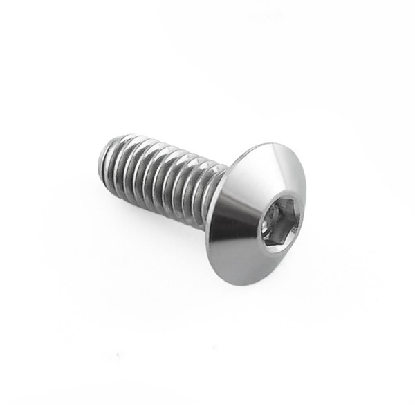 Edelstahl A4 Linsenkopf Schraube M4x(0.70mm)x10mm