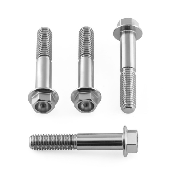 Stainless Steel Rider Footrest Hanger Bolt Kit