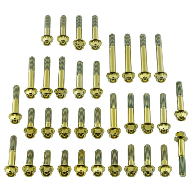 Titan Motorseitendeckelschraubenkit YZF1000 R1 Aussensechskant mit Flansch Gold