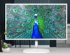 AOC 31.5' IPS Panel 4ms 2K QHD 2560x1440, HDMI, DP, 75Hz, 3-sided Narrow Frame, VESA 100, HDMI: 1.4, DisplayPort: 1.4, White colour, Business monitor