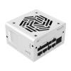 FSP VITA GM 850w Premium Power Supply, ATX Formfactor, 80+ Gold Certified, Fully Modular Cabling, ATX 3.1 & PCIe 5.1 Ready, White Colour