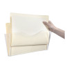 Esselte Document Pocket Wallet Landscape Foolscap Clear