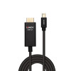 Lindy 2m Active Mini Display to HDMI