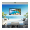 Sylvox Outdoor Ceiling Mount