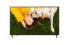 LG 43 43UA841C 4K WEBOS 25 16/7 COMMERCIAL TV
