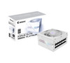 Gigabyte GP-AE1000PM PG5 ICE 1000W PSU Power Supply, ATX 60-50 Hz 1000W 120mm Fan 80 PLUS  Platinum >100,000 hours