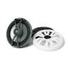 EcoXgear Marine 8 inch Wired Speakers