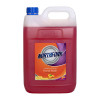 Northfork Antibacterial Foam Hand Wash Orange 5L