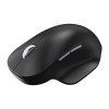 Incase Designed by Microsoft Ergonomic Wireless Mouse Black [222-00012]