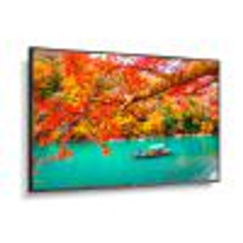 Sharp MA-series MA551 55" Professional Display, 4K UHD, 500-cd/m2 Brightness, IPS, 28% Haze Non-Glare, 300x300 VESA, 24/7 3Yr Warranty