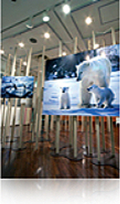 Epson Photo Paper Premium Gloss (250) 24" Roll Media