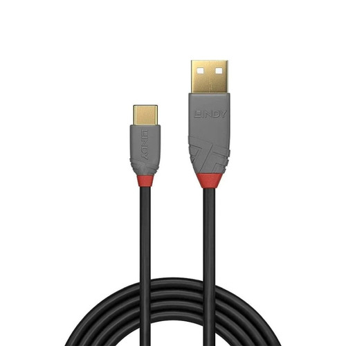 Lindy 1.0m USB2 Type A to C