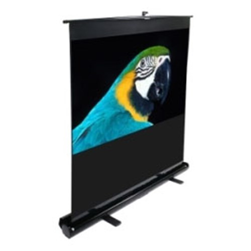 100 Portable 169 PULL-UP PROJECTOR SCREEN FLOOR PULL UP SCISSOR BACK EZCINEMA