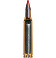 Hornady .223 Remington 35gr Polymer Tipped ammunition
