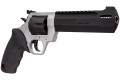 Taurus Taurus Raging Hunter .44 Magnum firearm
