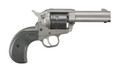 Ruger Ruger Wrangler .22 LR firearm