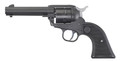 Ruger Ruger Wrangler .22 LR firearm