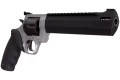 Taurus Taurus Raging Hunter .44 Magnum firearm