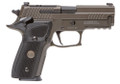 Sig Sauer Sig Sauer P229 9mm Luger firearm