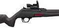 Winchester .22 LR firearm