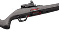 Winchester .22 LR firearm