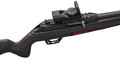 Winchester .22 LR firearm