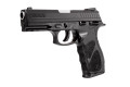 Taurus TH45 Pistol in .45 ACP