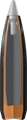 Winchester .300 Winchester Magnum 180gr Polymer Tipped ammunition