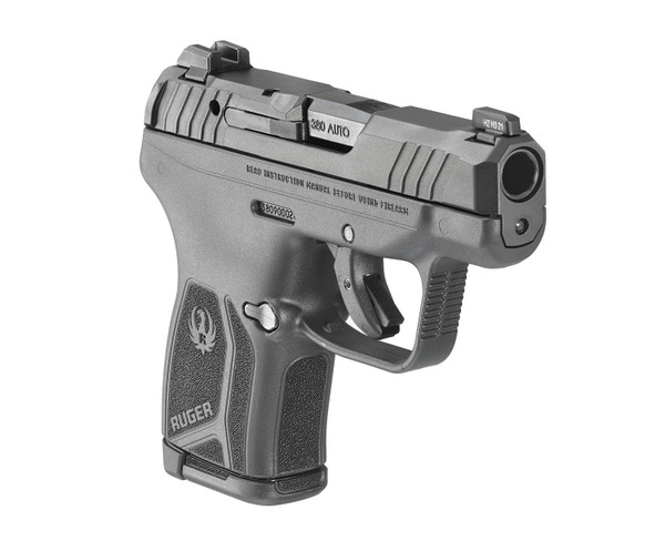 Ruger Ruger LCP MAX .380 ACP firearm