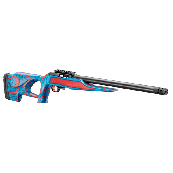 Ruger Ruger 10/22 .22 LR firearm