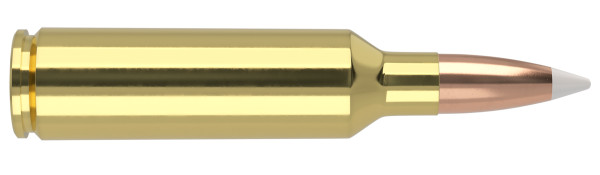 Nosler Trophy Grade .270 WSM 140 Grain AccuBond