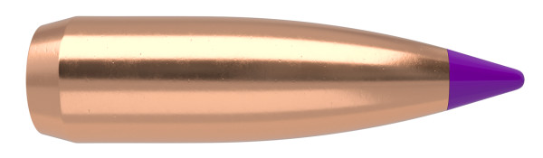 Nosler Bullets 6mm (0.243") 70 Grain Ballistic Tip Varmint