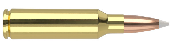 NOSLER .300 Winchester Short Magnum 180gr Polymer Tipped ammunition