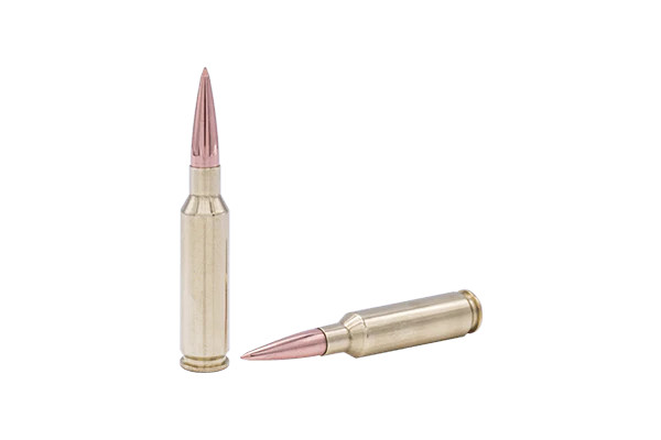 Fort Scott Munitions 6.5mm Creedmoor 123gr Solid ammunition