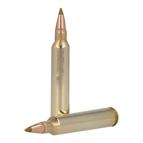 Remington .204 Ruger 32gr Polymer Tipped ammunition
