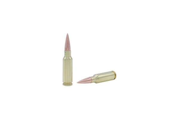 Fort Scott Munitions 6.5 Grendel 123gr Solid ammunition