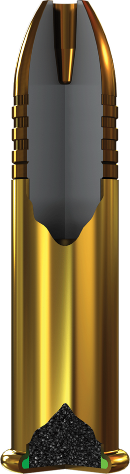 Winchester .22 LR 42gr Copper Plated Hollow Point (CPHP) ammunition