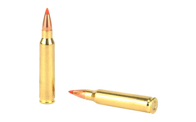 Hornady .223 Remington 55gr Polymer Tipped ammunition