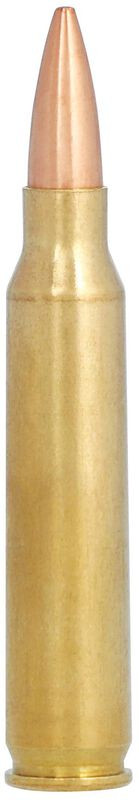 Federal .223 Remington 73gr Open Tip Match (OTM) ammunition