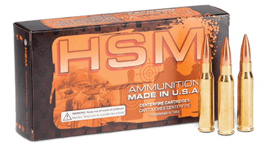 HSM Ammo .300 AAC Blackout 220gr Hollow Point Boat Tail (HPBT) ammunition