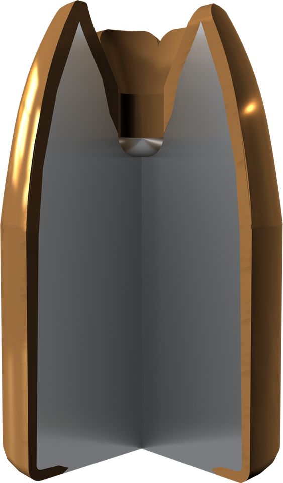 Winchester .40 S&W 165gr Jacketed Hollow Point (JHP) ammunition